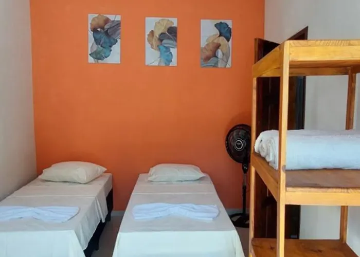 Mary Suites